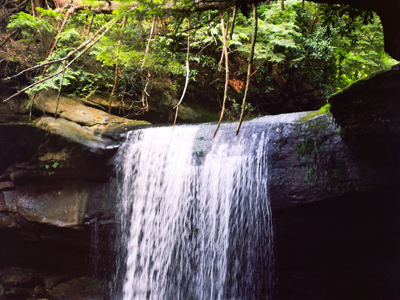 Cumberland Falls in June, 2010